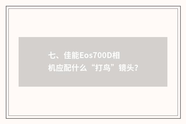 七、佳能Eos700D相机应配什么“打鸟”镜头?
