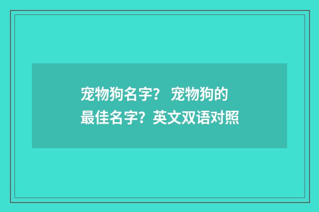 宠物狗名字? 宠物狗的最佳名字?英文双语对照