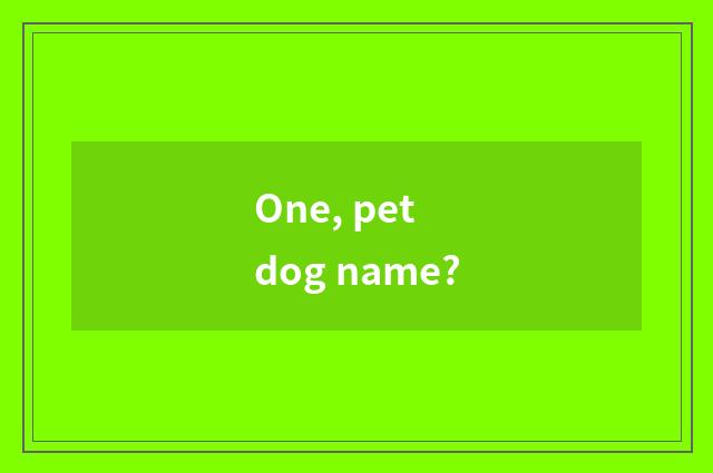 One, pet dog name?