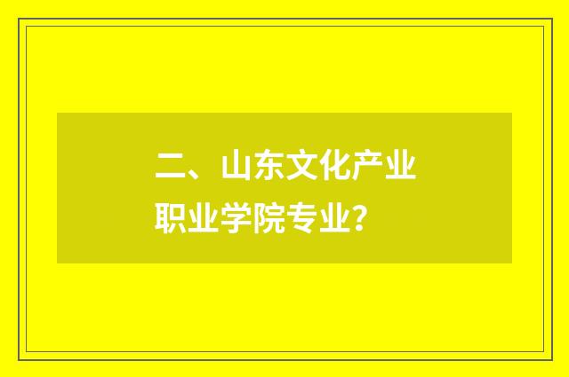 二、山东文化产业职业学院专业？