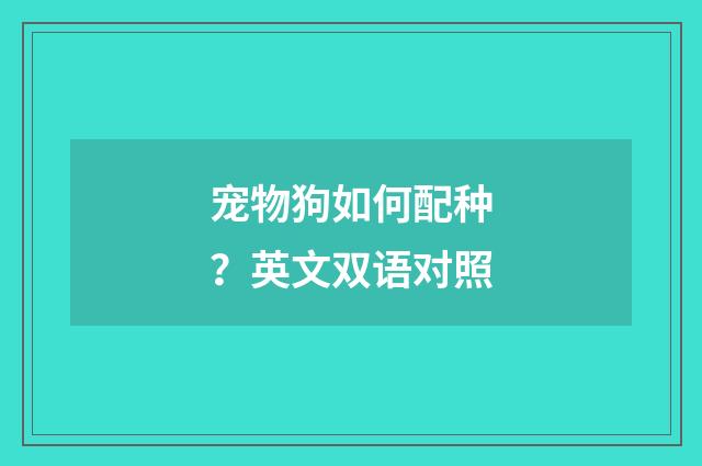 宠物狗如何配种？英文双语对照