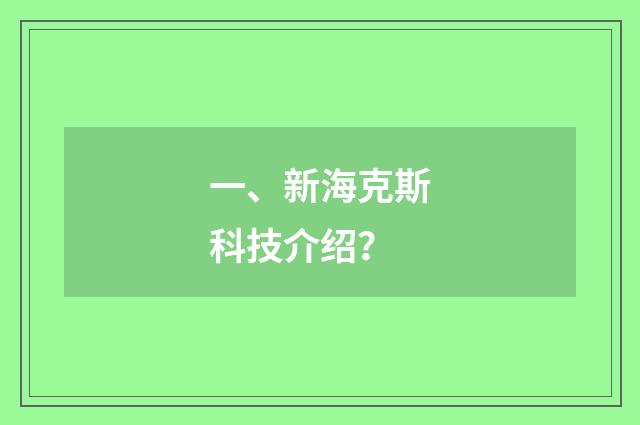 一、新海克斯科技介绍？