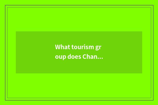 What tourism group does Changchun travel agent have now?