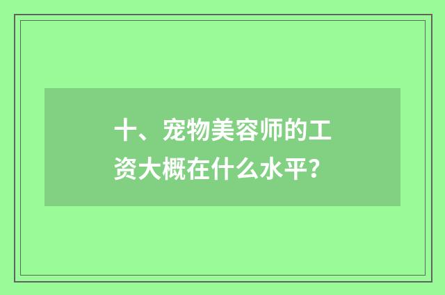 十、宠物美容师的工资大概在什么水平?