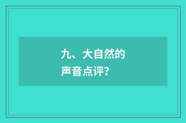 九、大自然的声音点评？
