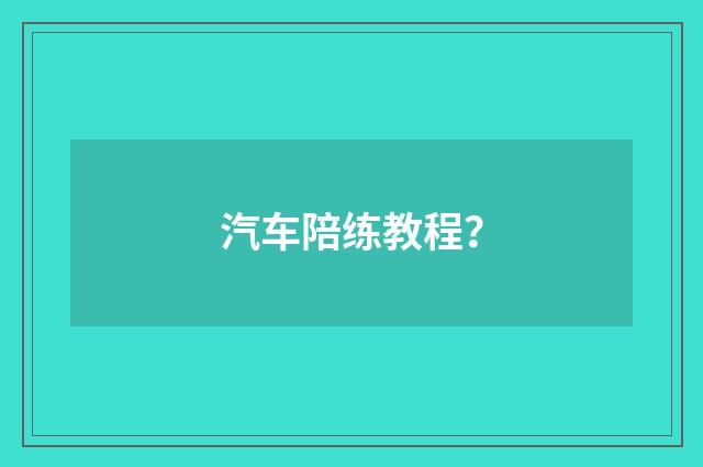 汽车陪练教程？