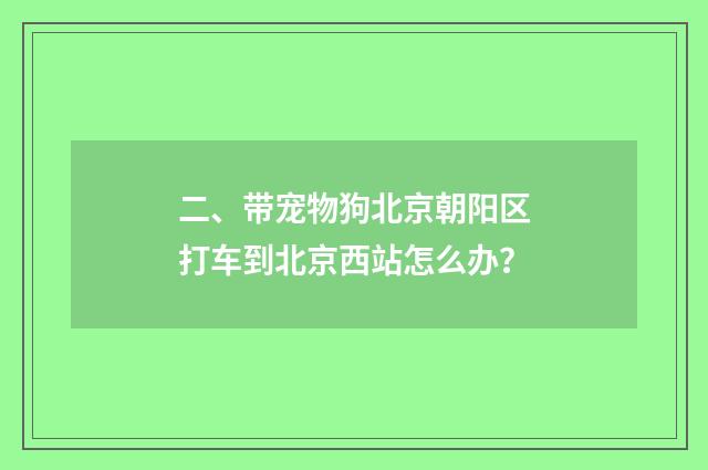 二、带宠物狗北京朝阳区打车到北京西站怎么办？