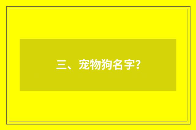 三、宠物狗名字？