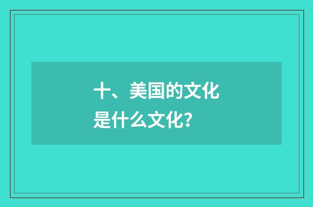 十、美国的文化是什么文化?