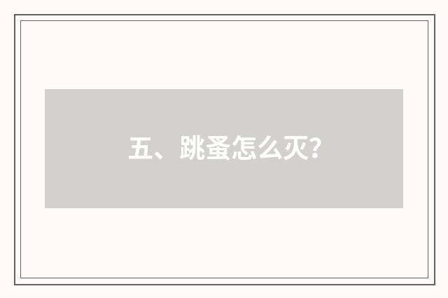 五、跳蚤怎么灭？