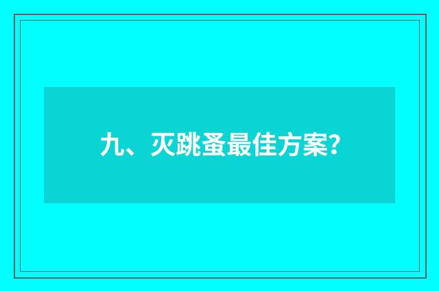 九、灭跳蚤最佳方案？