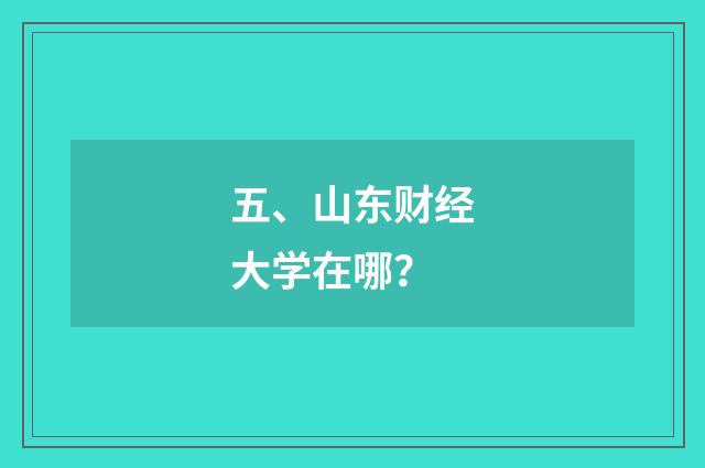 五、山东财经大学在哪?