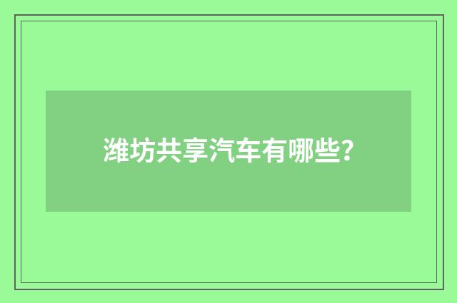 潍坊共享汽车有哪些?