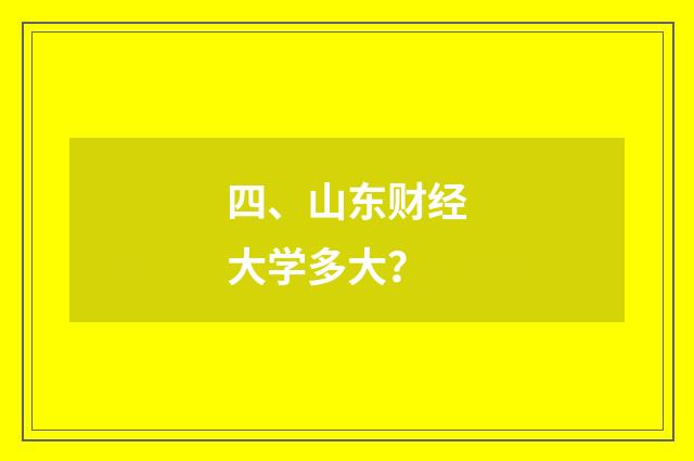 四、山东财经大学多大？
