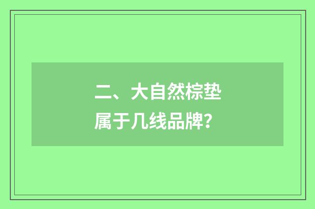 二、大自然棕垫属于几线品牌？