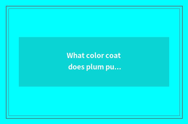 What color coat does plum purple coat take more fashionable?
