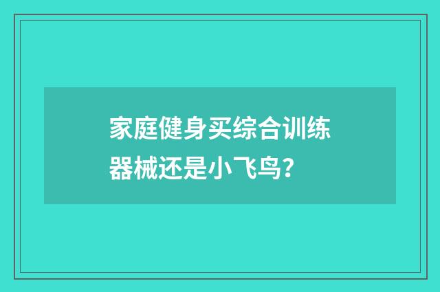 家庭健身买综合训练器械还是小飞鸟？
