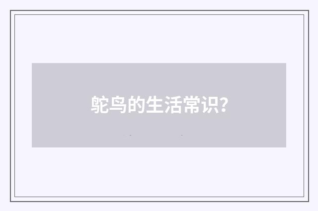 鸵鸟的生活常识？