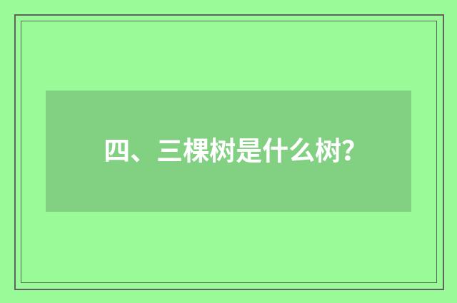 四、三棵树是什么树?