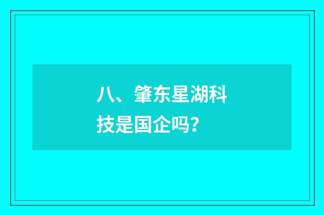 八、肇东星湖科技是国企吗?