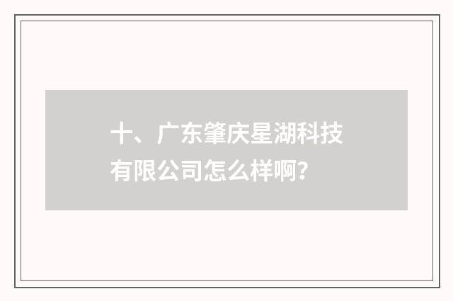 十、广东肇庆星湖科技有限公司怎么样啊?