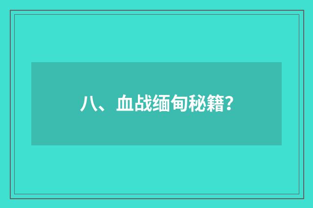 八、血战缅甸秘籍?