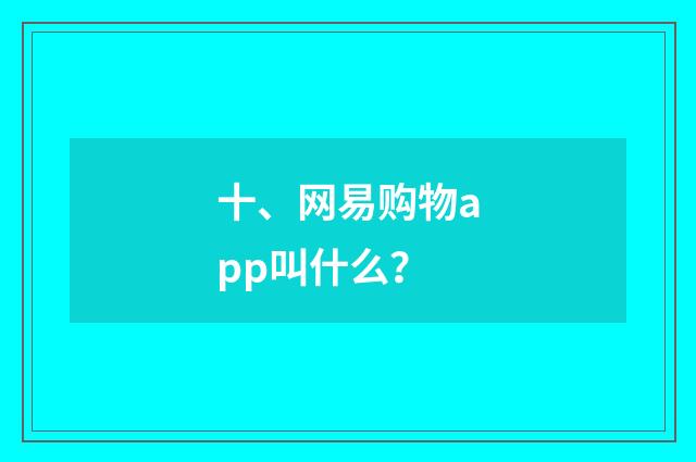 十、网易购物app叫什么？