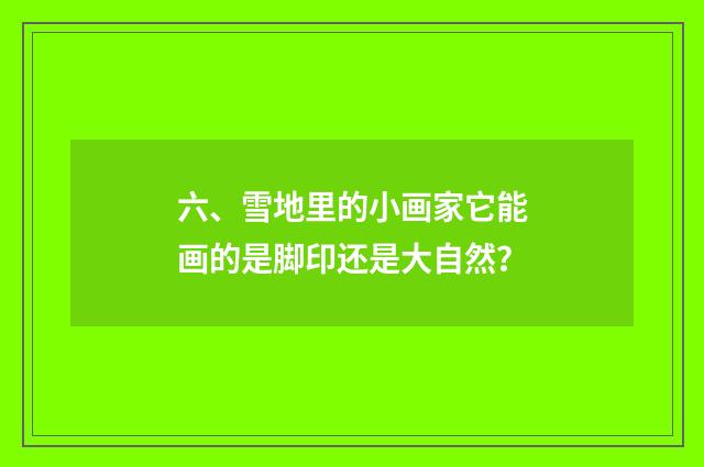 六、雪地里的小画家它能画的是脚印还是大自然?