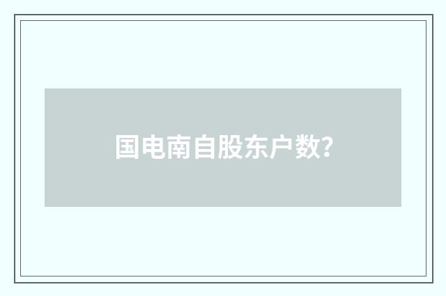 国电南自股东户数？