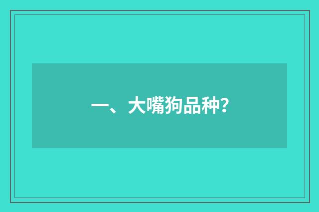 一、大嘴狗品种？