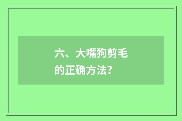 六、大嘴狗剪毛的正确方法？