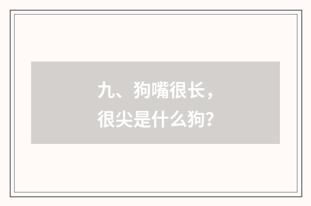 九、狗嘴很长，很尖是什么狗？
