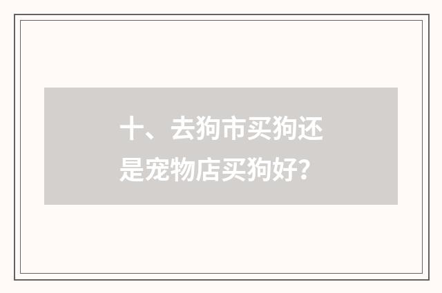 十、去狗市买狗还是宠物店买狗好？