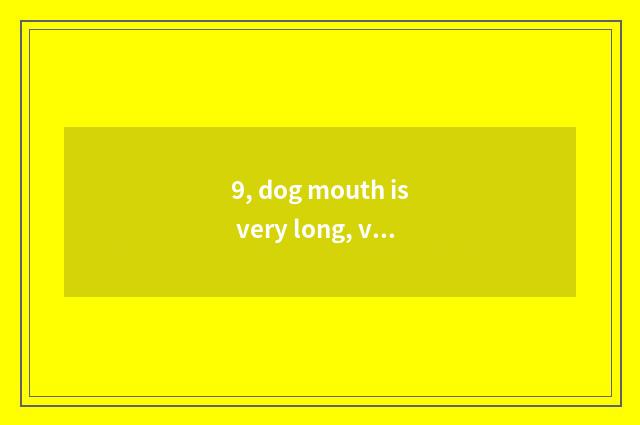 9, dog mouth is very long, very pointed what dog be?