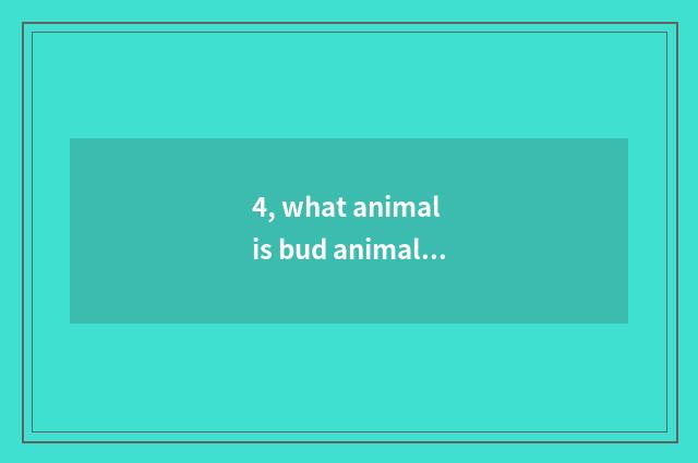 4, what animal is bud animal?