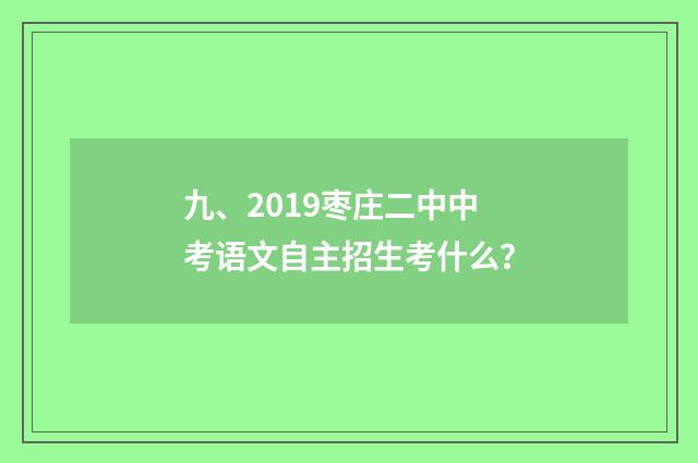 九、2019枣庄二中中考语文自主招生考什么？
