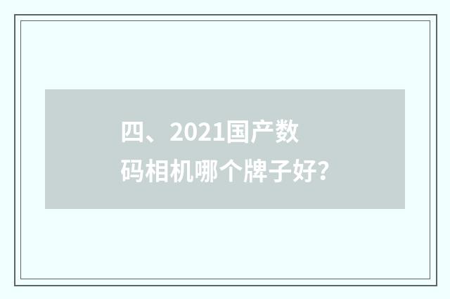 四、2021国产数码相机哪个牌子好？