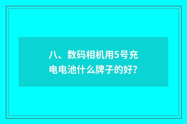 八、数码相机用5号充电电池什么牌子的好？