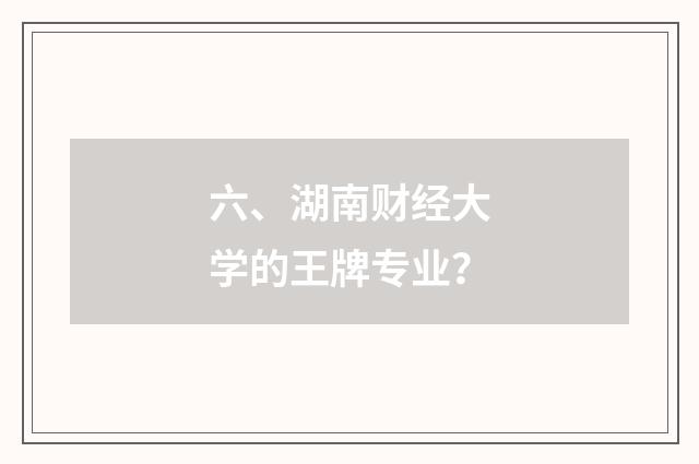 六、湖南财经大学的王牌专业？