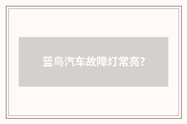 蓝鸟汽车故障灯常亮？