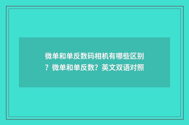 微单和单反数码相机有哪些区别?微单和单反数?英文双语对照