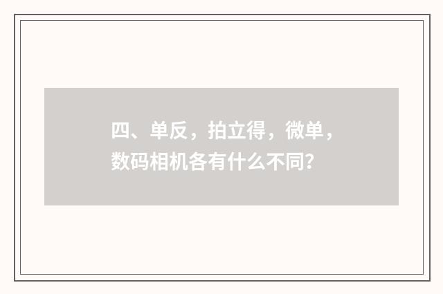 四、单反,拍立得,微单,数码相机各有什么不同?