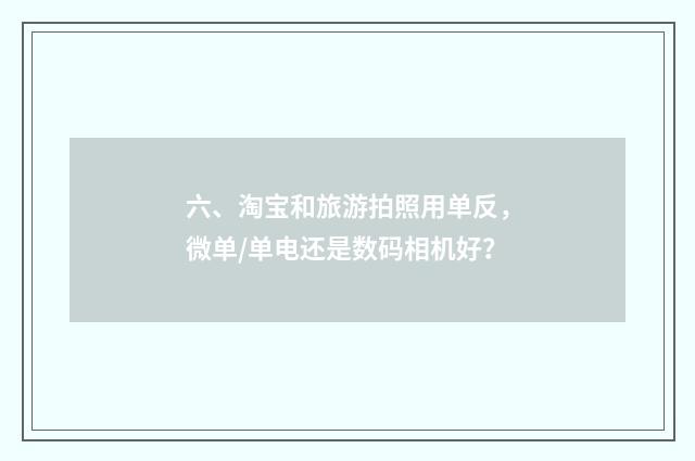六、淘宝和旅游拍照用单反，微单/单电还是数码相机好？
