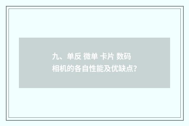 九、单反 微单 卡片 数码相机的各自性能及优缺点?