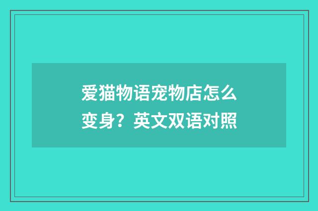 爱猫物语宠物店怎么变身？英文双语对照