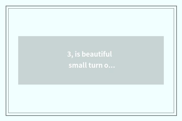 3, is beautiful small turn over camera lens only general?