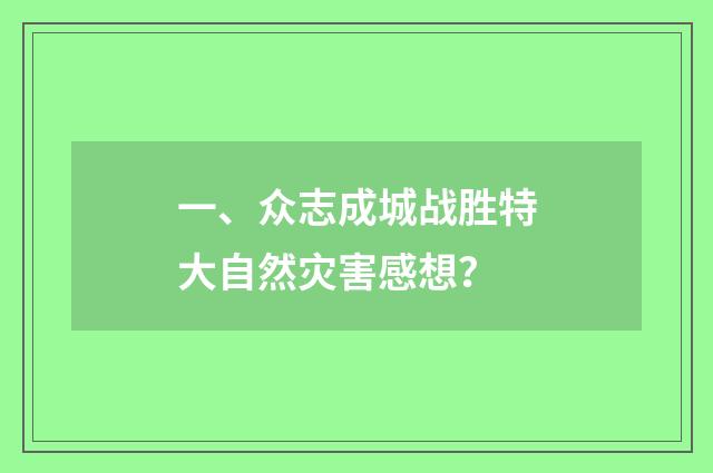 一、众志成城战胜特大自然灾害感想？