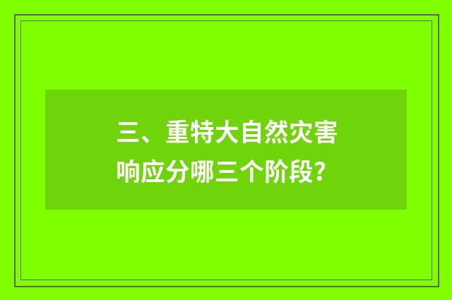 三、重特大自然灾害响应分哪三个阶段？