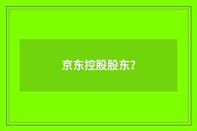 京东控股股东?