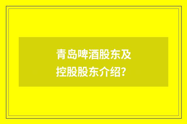 青岛啤酒股东及控股股东介绍？